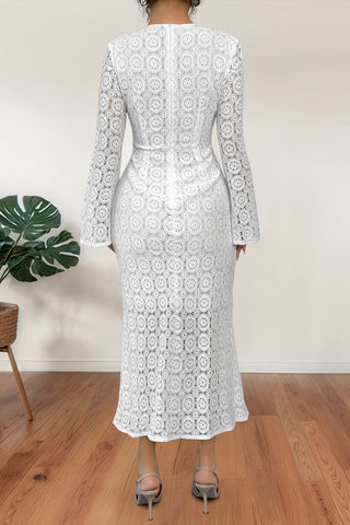 Elegant Lace Long Sleeve Casual Dress