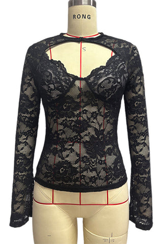 Sheer Floral Lace Cutout Long Sleeve Blouse