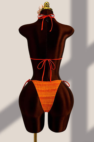 Halter Bikini Set with Sheer Cover-Up