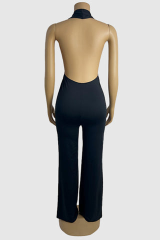 Plunge Neck Wide-Leg Jumpsuit