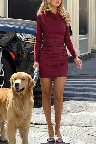 Ruched Cowl Neck Long Sleeve Mini Dress