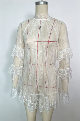 Ruffle Sheer Lace Mini Dress
