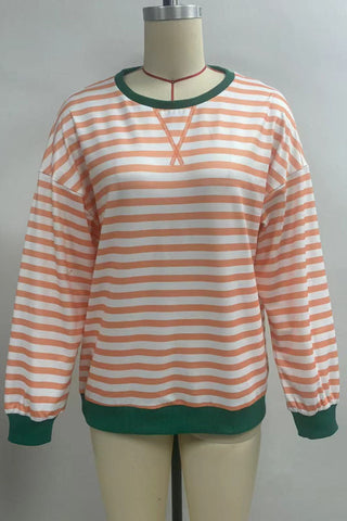 Striped Crew Neck Contrast Trim Top