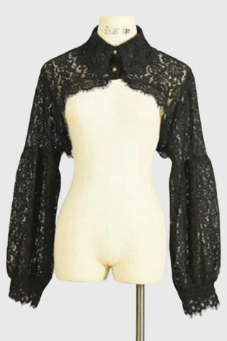 Lace Long Sleeve Cropped Blouse