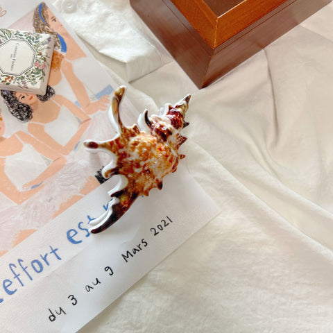 Seashell Shaped Hair Claw Clip