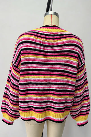 Striped Crew Neck Knit Sweater