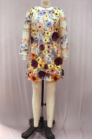 Floral Embroidered Casual Dress