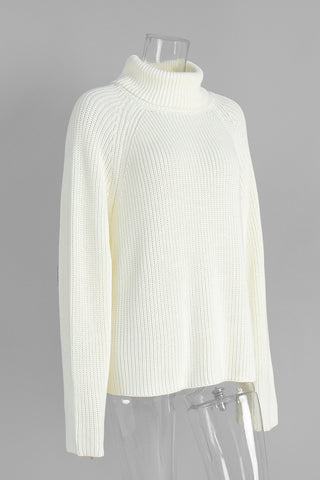 Classic Turtleneck Sweater