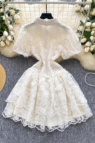 Button-Down Floral Lace Casual Dress