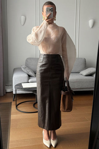 Elegant Sheer Blouse with High Collar