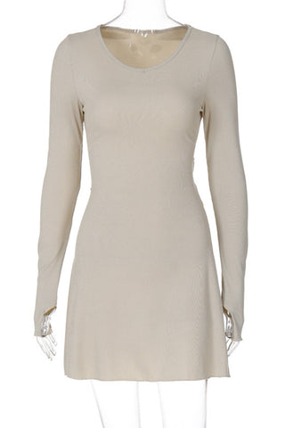 Long Sleeve Casual Mini Dress