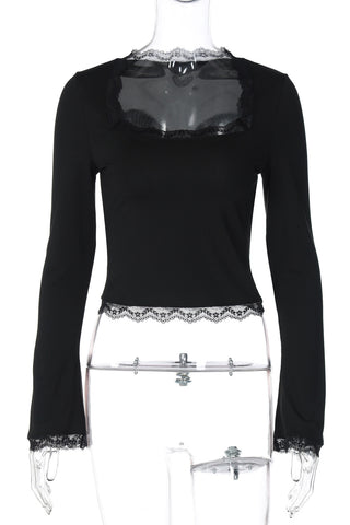 Elegant Sheer Lace Long Sleeve Top