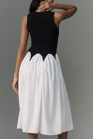 Two-Tone Fit and Flare Dress