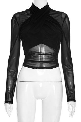 Sheer Mesh Long Sleeve Blouse
