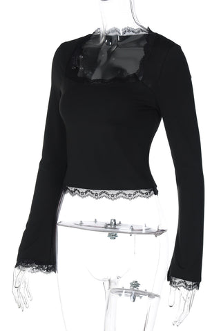 Elegant Sheer Lace Long Sleeve Top