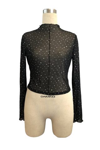 Sheer Long Sleeve Crop Top