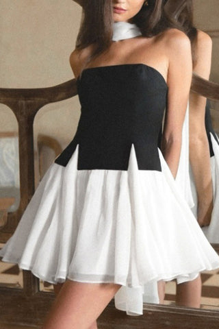 Stylish Skirt and Top Set