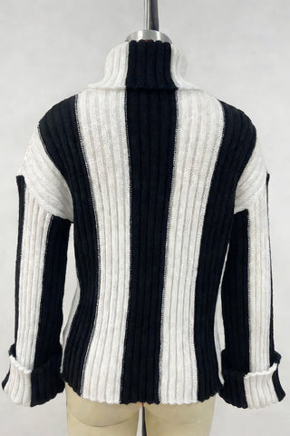 Turtleneck Striped Sweater