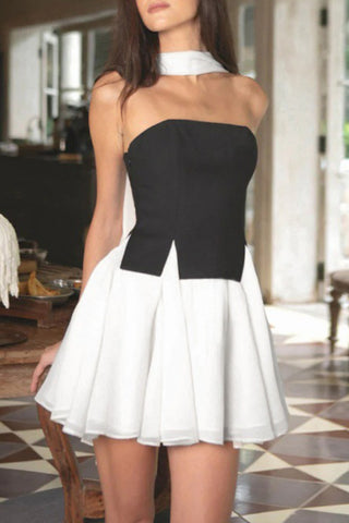 Stylish Skirt and Top Set