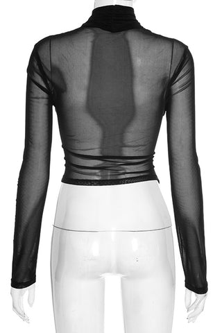 Sheer Mesh Long Sleeve Blouse