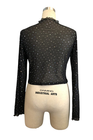 Sheer Long Sleeve Crop Top