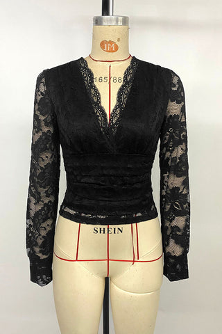 Elegant Lace V-Neck Blouse