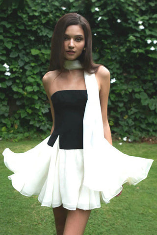 Stylish Skirt and Top Set