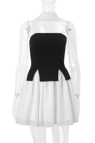 Stylish Skirt and Top Set