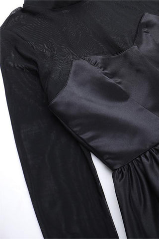 Sheer Long Sleeve Mini Dress