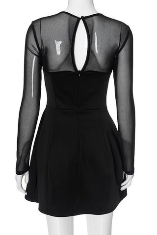 Elegant Mesh Evening Dress