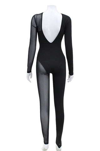 Sheer Panel Long Sleeve Jumpsuit