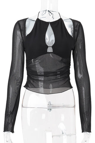 Sheer Cutout Long Sleeve Blouse