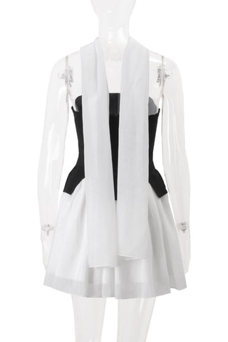 Stylish Skirt and Top Set