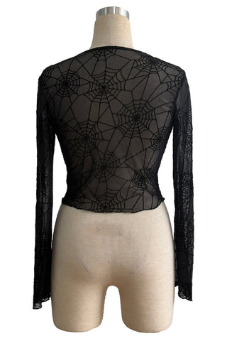 Sheer Spiderweb Long Sleeve Top