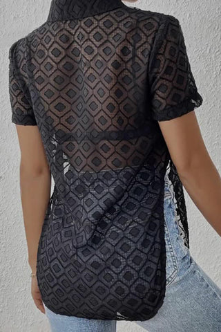 Sheer Tie-Front Collared Top