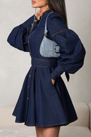 Button-Down Puff Sleeve Denim Dress