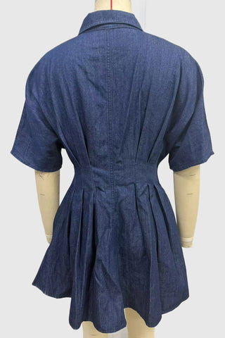 Button-Down Denim Dress