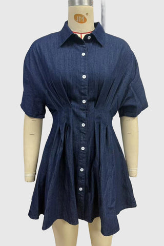 Button-Down Denim Dress