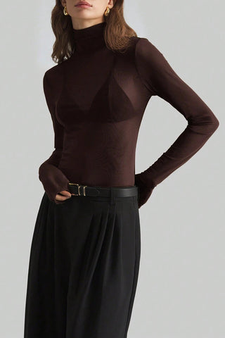 Sheer Turtleneck Long Sleeve Blouse