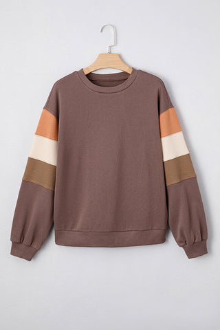 Colorblock Sleeve Casual Sweatshirt