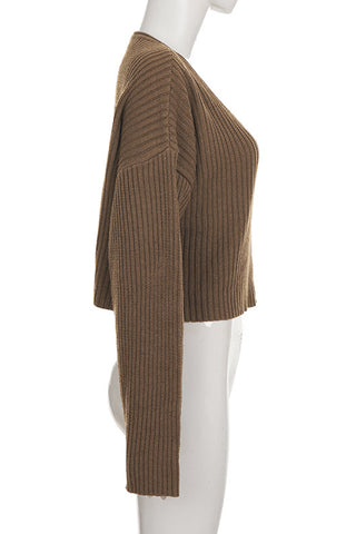 V-Neck Ribbed Knit Sweater