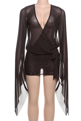 Deep V-Neck Sheer Sleeve Mini Dress