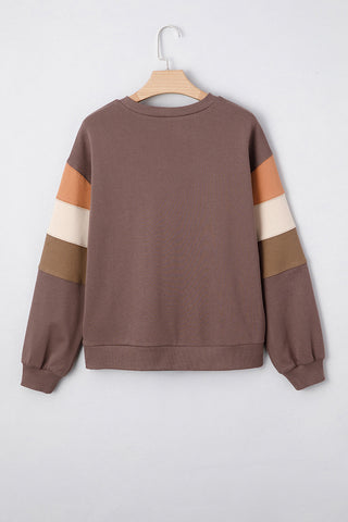 Colorblock Sleeve Casual Sweatshirt