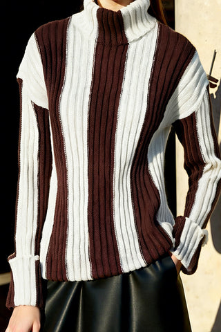 Turtleneck Striped Sweater