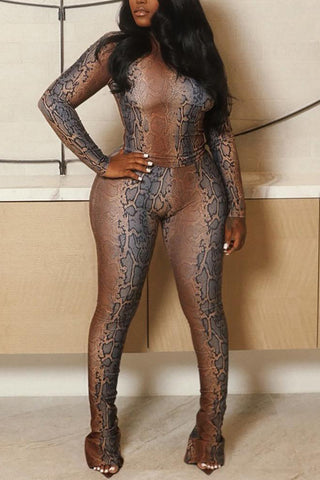Snakeskin Print Pants Set
