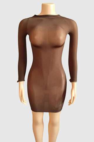Sheer Long Sleeve Night Out Dress