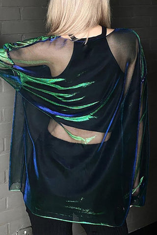 Sheer Long Sleeve Blouse