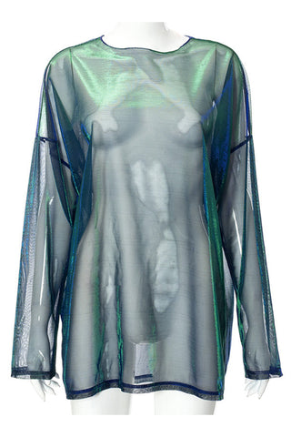 Sheer Long Sleeve Blouse