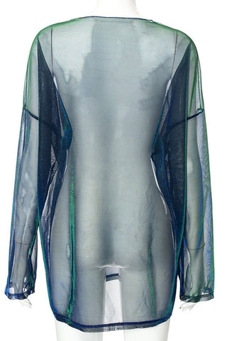 Sheer Long Sleeve Blouse