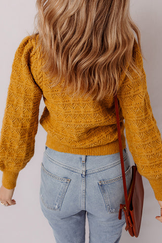 Hollow Knit Sweater with Balloon Sleeves